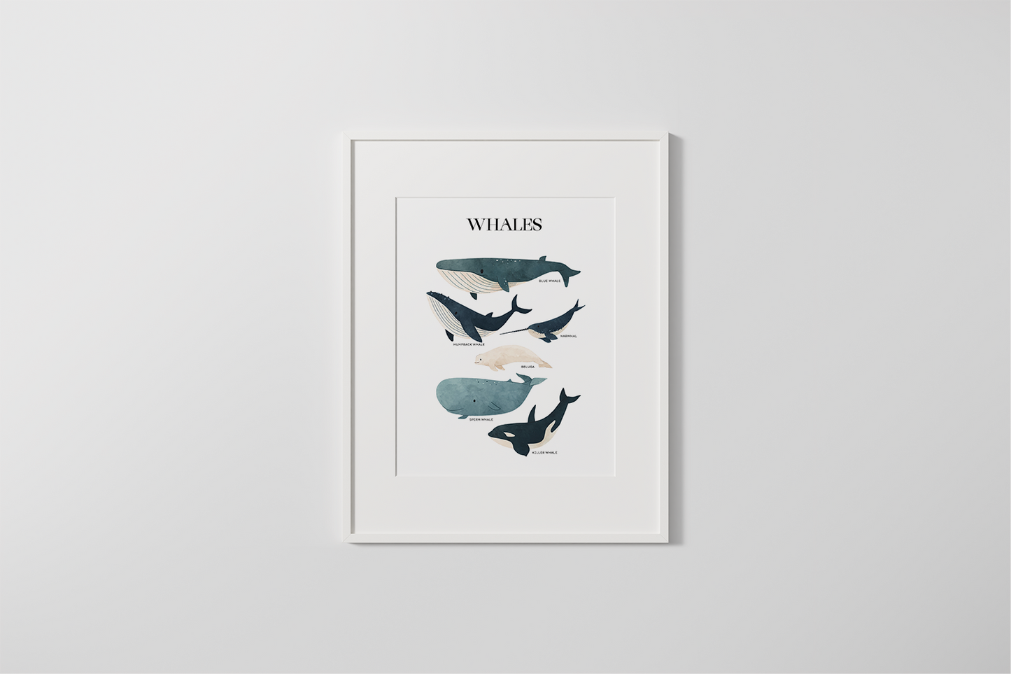 Ocean Friends: Whales